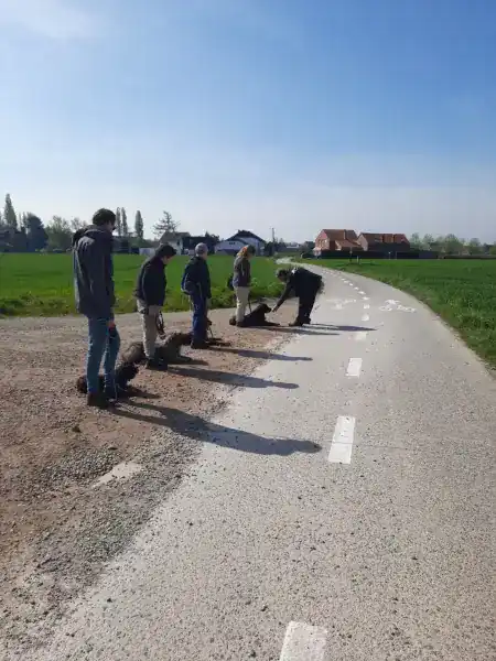 Wandelles aan parking Aldi in Berg