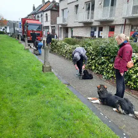 Wandelles op de markt van Steenokkerzeel