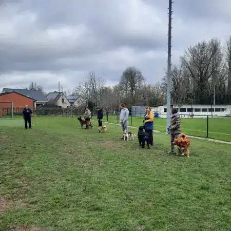 Wandelles aan het voetbalveld in Berg